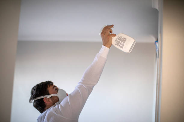 Best Water Damage Restoration  in North Oaks, MN