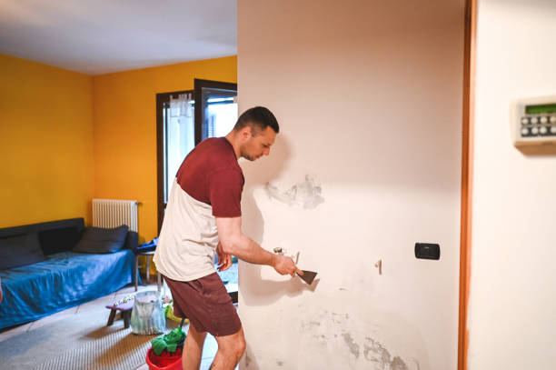 North Oaks, MN Mold Removal Company